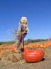 Pumpkin Patch 2007