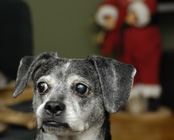 Getting into the Hilday Spirit